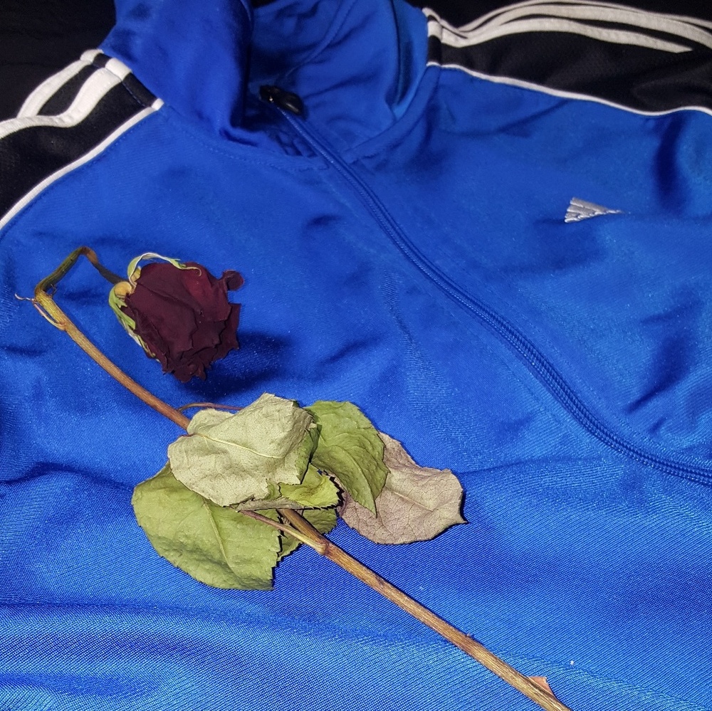 True Blue ® Adidas Warm Up